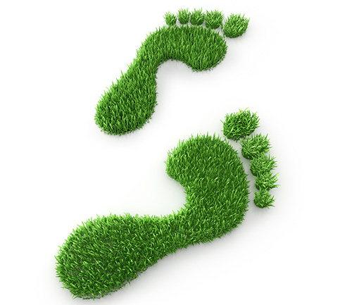 maz goes green – unser Einsatz für mehr Nachhaltigkeit im Unternehmen